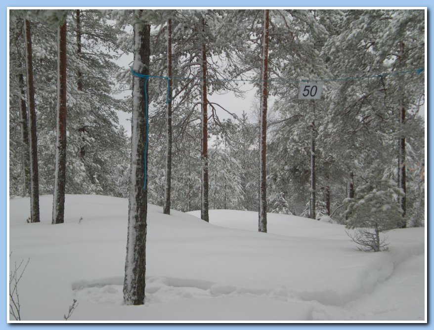 helmikuu2011 018